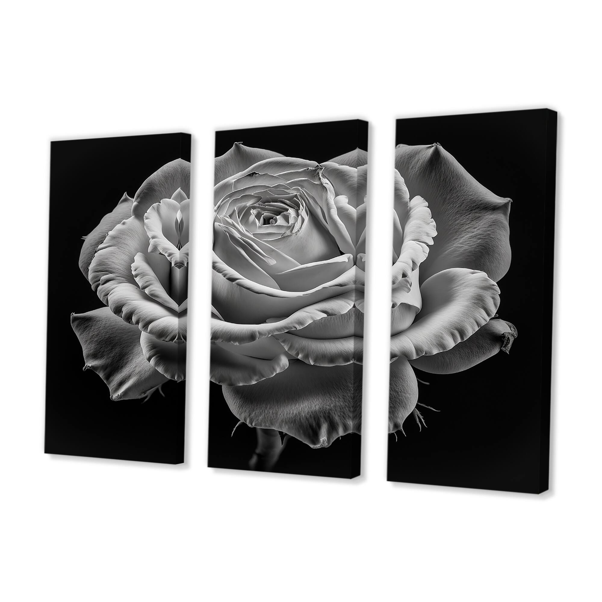 Designart "Blossoming White Rose On Black III" Floral Rose Canvas Wall